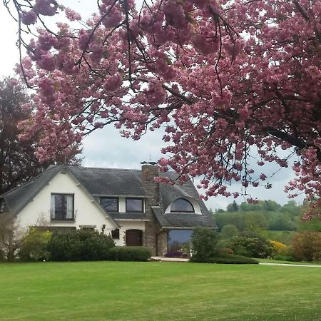 Elegant Villa In Stavelot With Fitness Playroom Eksteriør billede