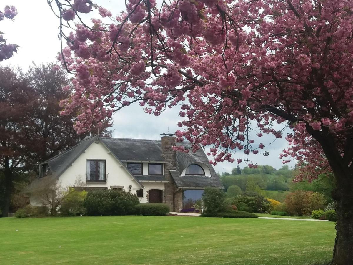 Elegant Villa In Stavelot With Fitness Playroom Eksteriør billede